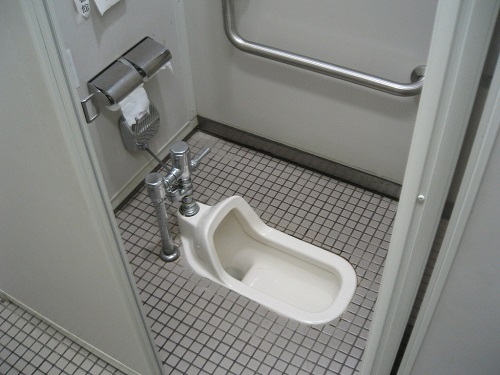 Japanese-style Toilet. Photo Credit http://connectere.wordpress.com 