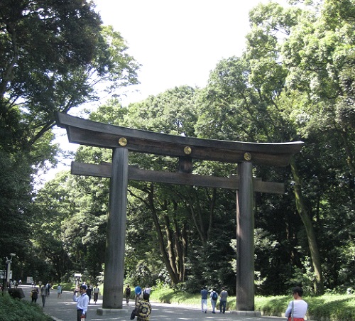 Torii in Meiji Shrine Park
